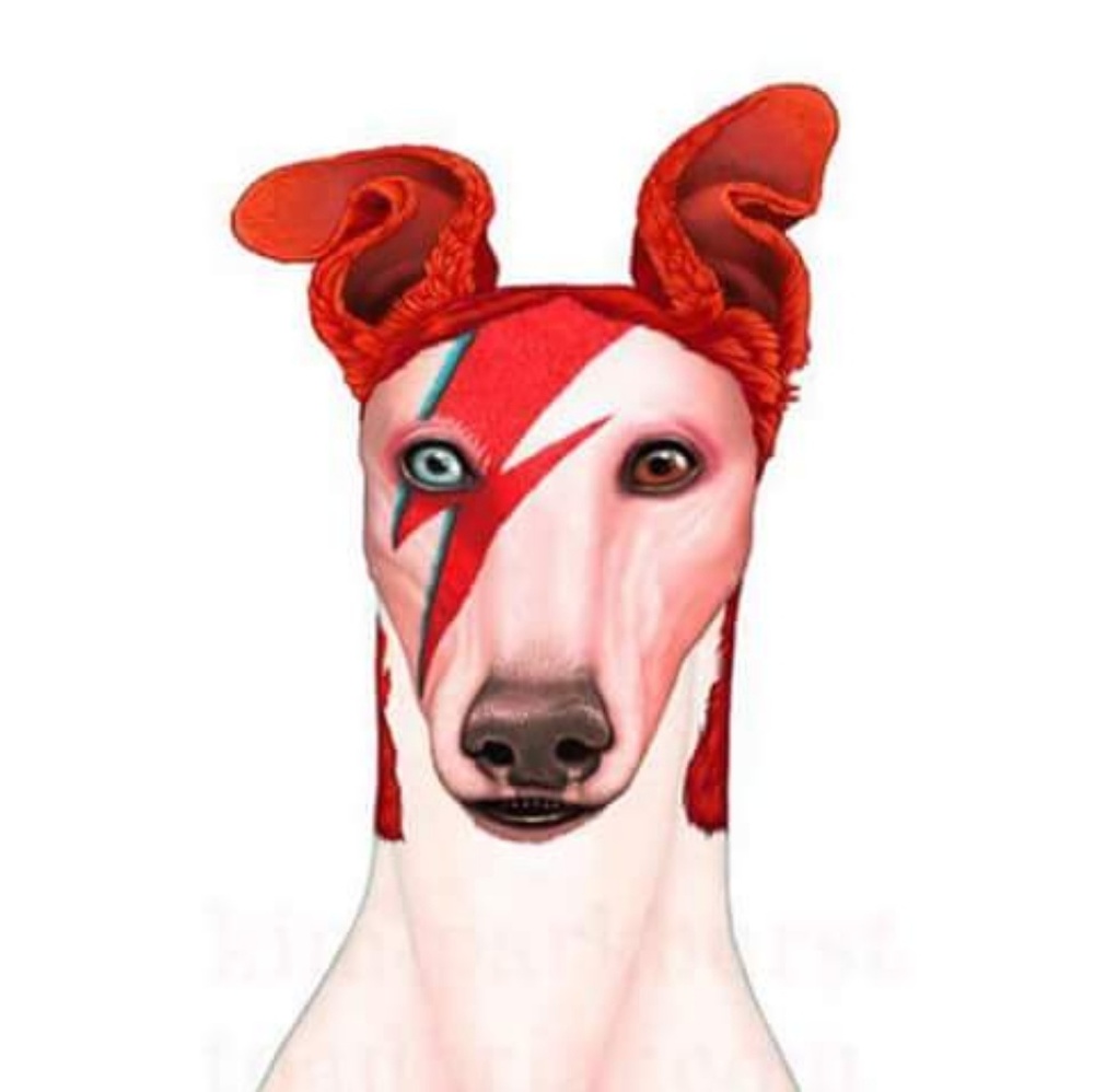 Meet your Posher, Katherine